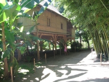 Bambuspark beim Camping de l'Arche in Anduze - Südfrankreich