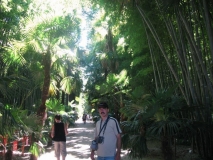 Süd-Frankreich - Bambuspark